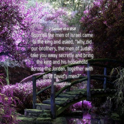 Picture 04 - 2 Samuel 19:41 BSB - Soon all the men of Israel came to the king and - Bible Verse Picture