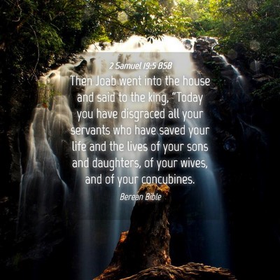 Picture 04 - 2 Samuel 19:5 BSB - Then Joab went into the house and said to the - Bible Verse Picture