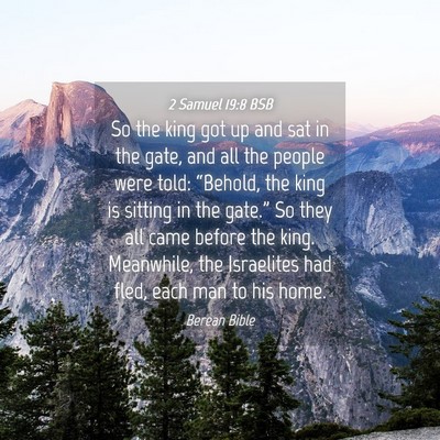 Picture 04 - 2 Samuel 19:8 BSB - So the king got up and sat in the gate, and all - Bible Verse Picture
