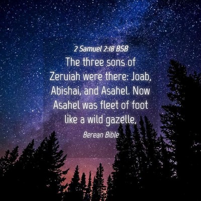 Picture 04 - 2 Samuel 2:18 BSB - The three sons of Zeruiah were there: Joab, - Bible Verse Picture