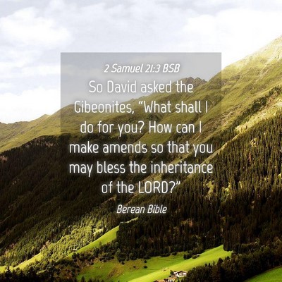 Picture 04 - 2 Samuel 21:3 BSB - So David asked the Gibeonites, “What shall I do - Bible Verse Picture