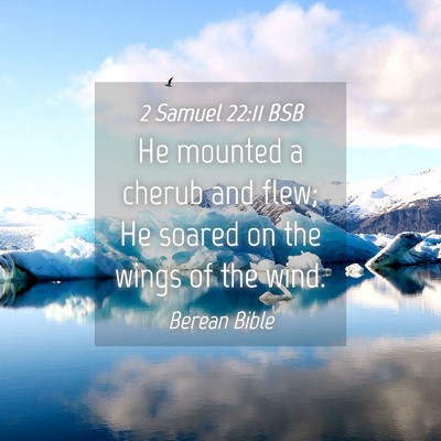 Picture 04 - 2 Samuel 22:11 BSB - He mounted a cherub and flew; He soared on the - Bible Verse Picture