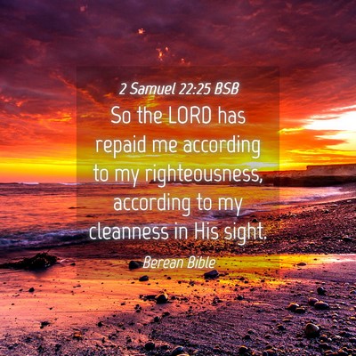 Picture 04 - 2 Samuel 22:25 BSB - So the LORD has repaid me according to my - Bible Verse Picture