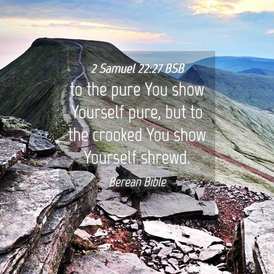 Picture 04 - 2 Samuel 22:27 BSB - to the pure You show Yourself pure, but to the - Bible Verse Picture