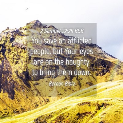 Picture 04 - 2 Samuel 22:28 BSB - You save an afflicted people, but Your eyes are - Bible Verse Picture