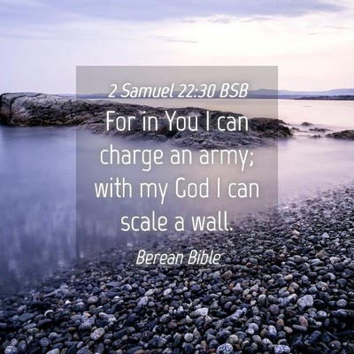 Picture 04 - 2 Samuel 22:30 BSB - For in You I can charge an army; with my God I - Bible Verse Picture