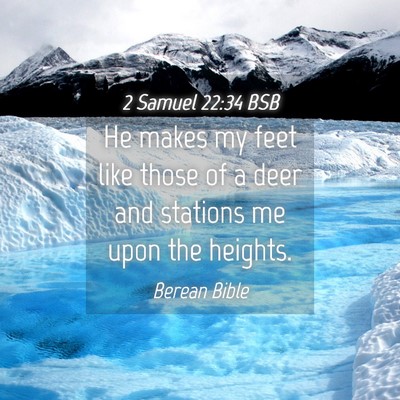 Picture 04 - 2 Samuel 22:34 BSB - He makes my feet like those of a deer and - Bible Verse Picture