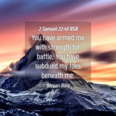 Picture 04 - 2 Samuel 22:40 BSB - You have armed me with strength for battle; You - Bible Verse Picture