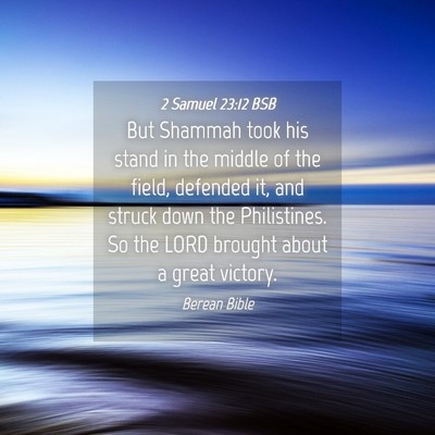 Picture 04 - 2 Samuel 23:12 BSB - But Shammah took his stand in the middle of the - Bible Verse Picture