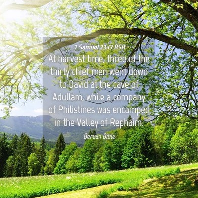 Picture 04 - 2 Samuel 23:13 BSB - At harvest time, three of the thirty chief men - Bible Verse Picture