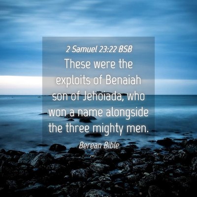 Picture 04 - 2 Samuel 23:22 BSB - These were the exploits of Benaiah son of - Bible Verse Picture