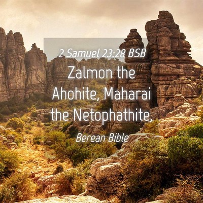 Picture 04 - 2 Samuel 23:28 BSB - Zalmon the Ahohite, Maharai the - Bible Verse Picture