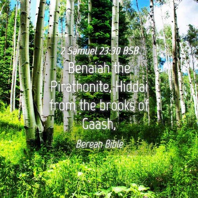 Picture 04 - 2 Samuel 23:30 BSB - Benaiah the Pirathonite, Hiddai from the brooks - Bible Verse Picture