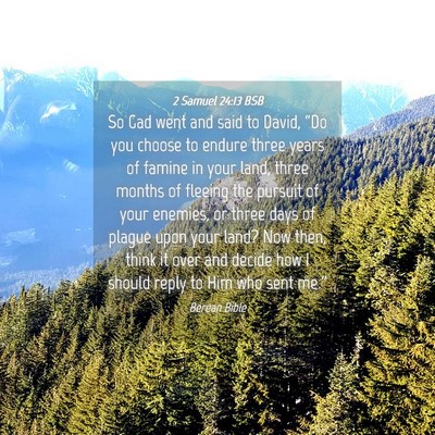 Picture 04 - 2 Samuel 24:13 BSB - So Gad went and said to David, “Do you choose - Bible Verse Picture