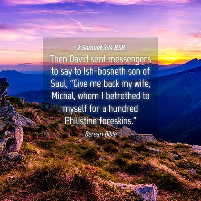 Picture 04 - 2 Samuel 3:14 BSB - Then David sent messengers to say to Ish-bosheth - Bible Verse Picture