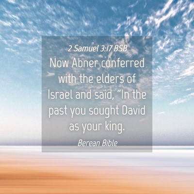 Picture 04 - 2 Samuel 3:17 BSB - Now Abner conferred with the elders of Israel and - Bible Verse Picture