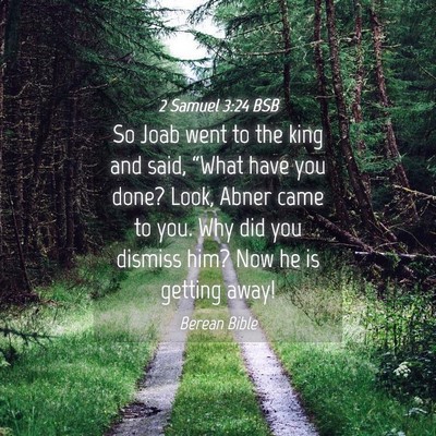 Picture 04 - 2 Samuel 3:24 BSB - So Joab went to the king and said, “What have - Bible Verse Picture