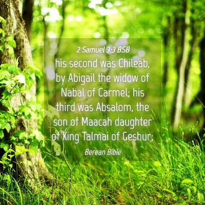 Picture 04 - 2 Samuel 3:3 BSB - his second was Chileab, by Abigail the widow of - Bible Verse Picture