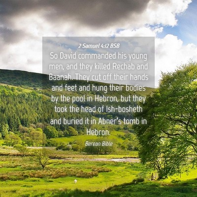 Picture 04 - 2 Samuel 4:12 BSB - So David commanded his young men, and they killed - Bible Verse Picture