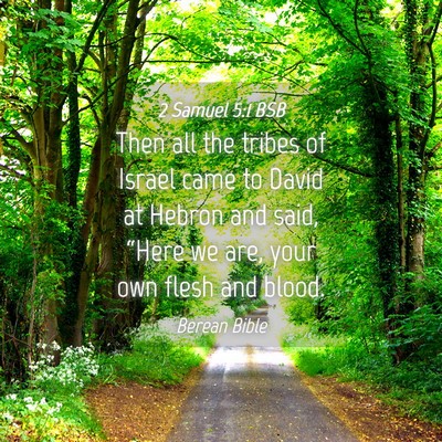 Picture 04 - 2 Samuel 5:1 BSB - Then all the tribes of Israel came to David at - Bible Verse Picture