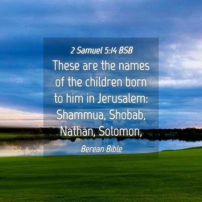 Picture 04 - 2 Samuel 5:14 BSB - These are the names of the children born to him - Bible Verse Picture