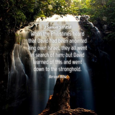 Picture 04 - 2 Samuel 5:17 BSB - When the Philistines heard that David had been - Bible Verse Picture