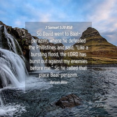 Picture 04 - 2 Samuel 5:20 BSB - So David went to Baal-perazim, where he defeated - Bible Verse Picture