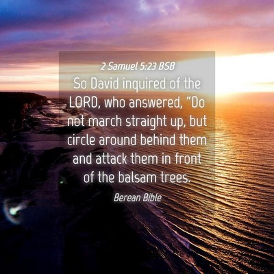 Picture 04 - 2 Samuel 5:23 BSB - So David inquired of the LORD, who answered, - Bible Verse Picture