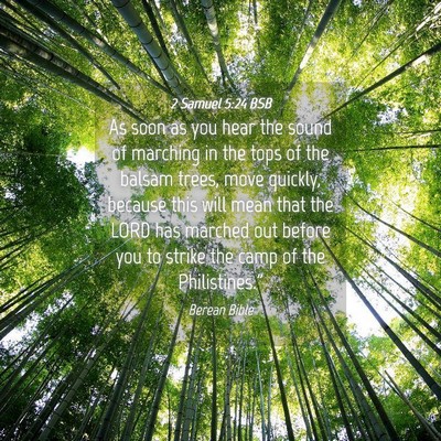 Picture 04 - 2 Samuel 5:24 BSB - As soon as you hear the sound of marching in the - Bible Verse Picture