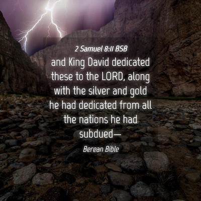 Picture 04 - 2 Samuel 8:11 BSB - and King David dedicated these to the LORD, along - Bible Verse Picture