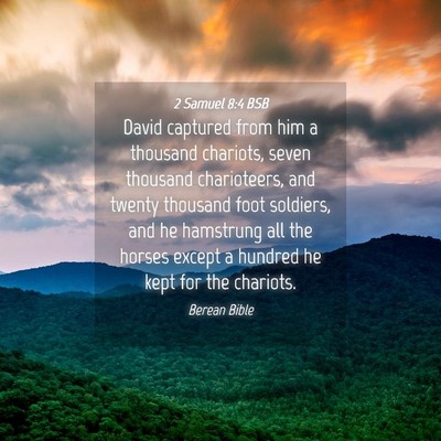 Picture 04 - 2 Samuel 8:4 BSB - David captured from him a thousand chariots, - Bible Verse Picture