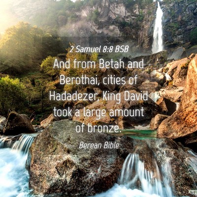 Picture 04 - 2 Samuel 8:8 BSB - And from Betah and Berothai, cities of Hadadezer, - Bible Verse Picture
