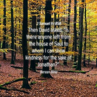 Picture 04 - 2 Samuel 9:1 BSB - Then David asked, “Is there anyone left from - Bible Verse Picture