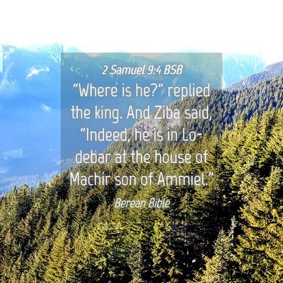 Picture 04 - 2 Samuel 9:4 BSB - “Where is he?” replied the king. And Ziba - Bible Verse Picture