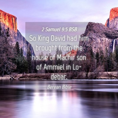 Picture 04 - 2 Samuel 9:5 BSB - So King David had him brought from the house of - Bible Verse Picture