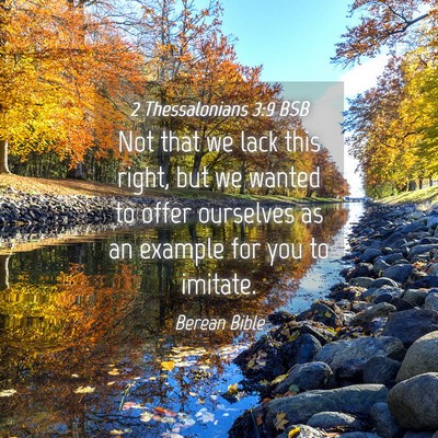 Picture 04 - 2 Thessalonians 3:9 BSB - Not that we lack this right, but we wanted to - Bible Verse Picture