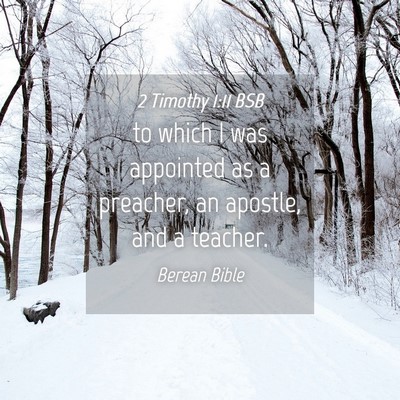Picture 04 - 2 Timothy 1:11 BSB - to which I was appointed as a preacher, an - Bible Verse Picture