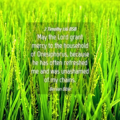 Picture 04 - 2 Timothy 1:16 BSB - May the Lord grant mercy to the household of - Bible Verse Picture