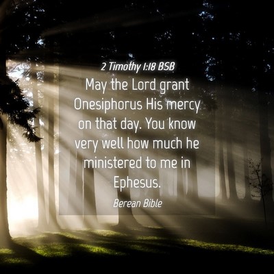Picture 04 - 2 Timothy 1:18 BSB - May the Lord grant Onesiphorus His mercy on that - Bible Verse Picture