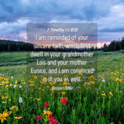 Picture 04 - 2 Timothy 1:5 BSB - I am reminded of your sincere faith, which first - Bible Verse Picture