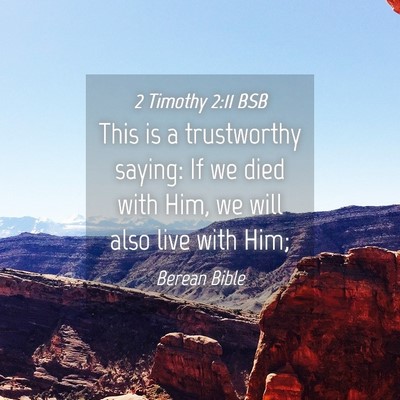Picture 04 - 2 Timothy 2:11 BSB - This is a trustworthy saying: If we died with - Bible Verse Picture
