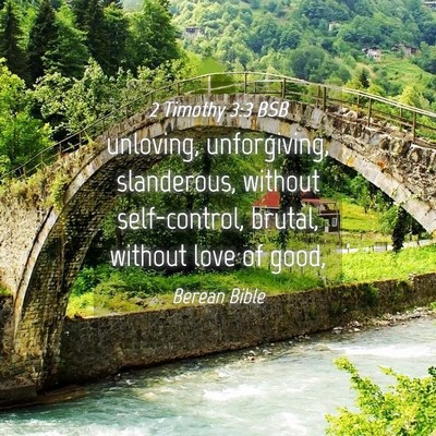 Picture 04 - 2 Timothy 3:3 BSB - unloving, unforgiving, slanderous, without - Bible Verse Picture