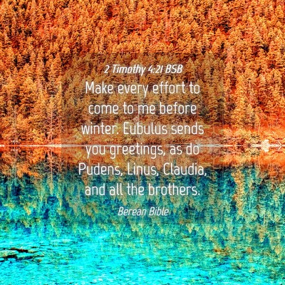Picture 04 - 2 Timothy 4:21 BSB - Make every effort to come to me before winter. - Bible Verse Picture
