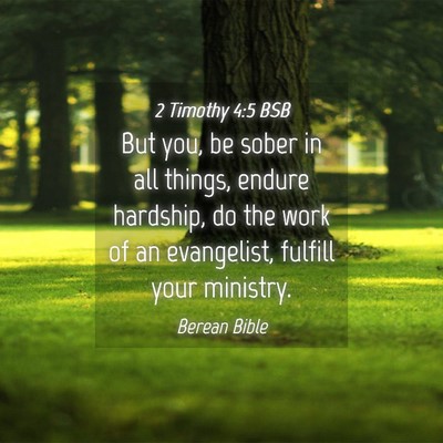 Picture 04 - 2 Timothy 4:5 BSB - But you, be sober in all things, endure hardship, - Bible Verse Picture