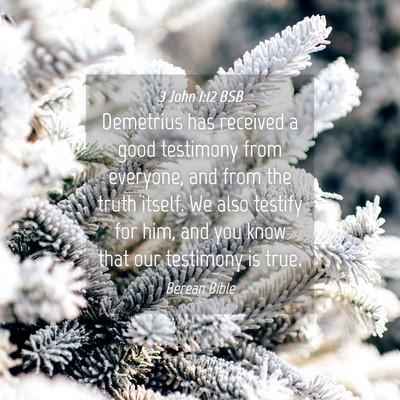 Picture 04 - 3 John 1:12 BSB - Demetrius has received a good testimony from - Bible Verse Picture