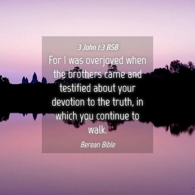 Picture 04 - 3 John 1:3 BSB - For I was overjoyed when the brothers came and - Bible Verse Picture