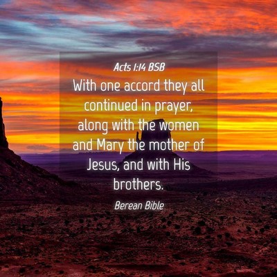 Picture 04 - Acts 1:14 BSB - With one accord they all continued in prayer, - Bible Verse Picture