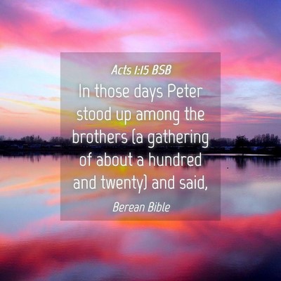 Picture 04 - Acts 1:15 BSB - In those days Peter stood up among the brothers - Bible Verse Picture