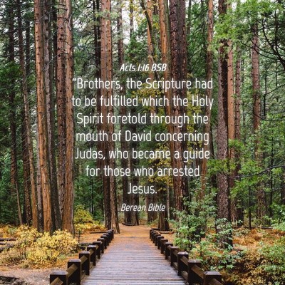 Picture 04 - Acts 1:16 BSB - “Brothers, the Scripture had to be fulfilled - Bible Verse Picture