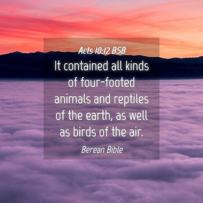 Picture 04 - Acts 10:12 BSB - It contained all kinds of four-footed animals and - Bible Verse Picture